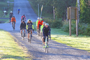 IMG_9631_Avondale_Bikes