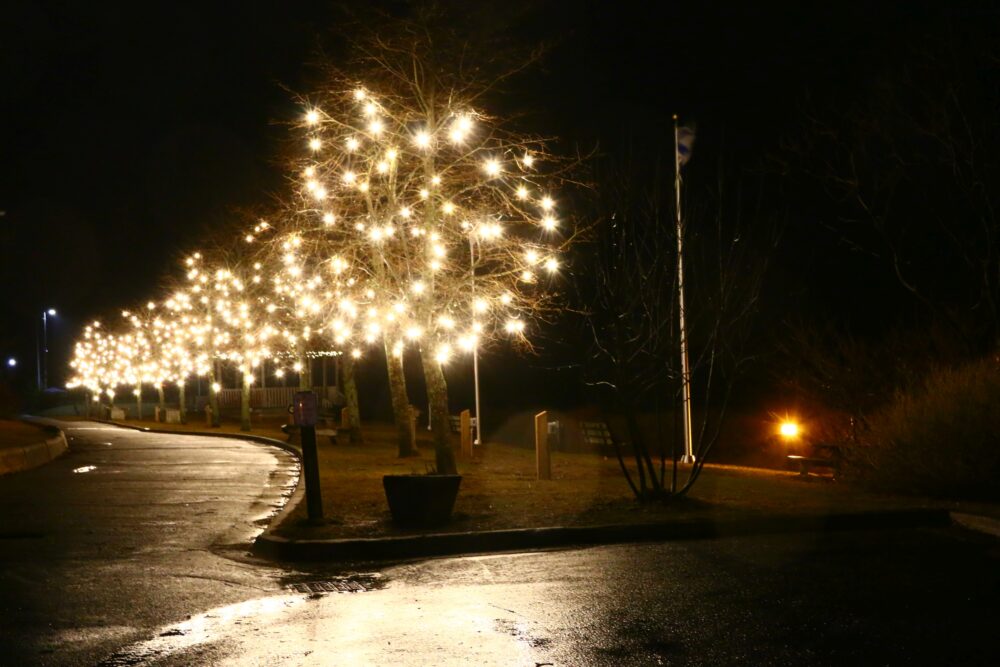 IMG_4289_Waterfront_Lights_Jim_Ivey
