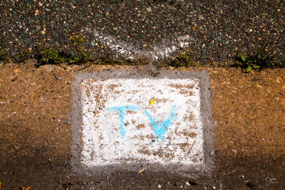 Chalk the Causeway-7313