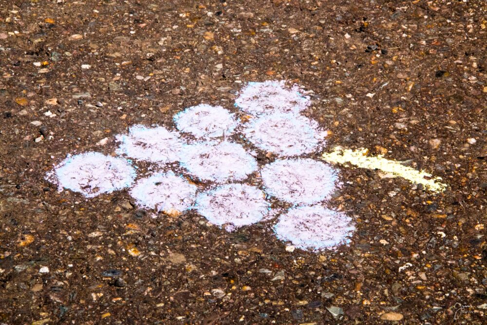 Chalk the Causeway-7331