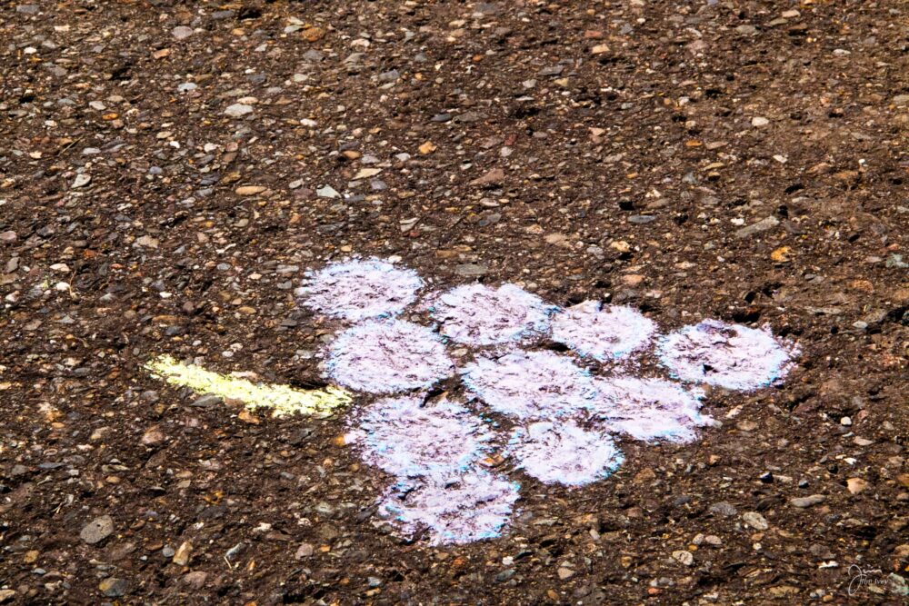 Chalk the Causeway-7333