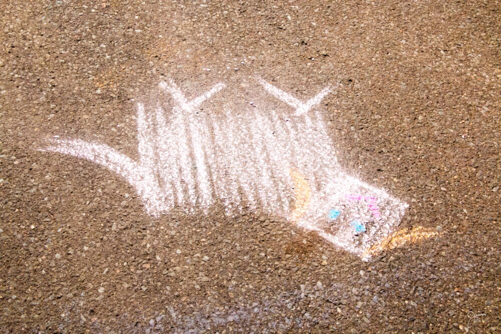 Chalk the Causeway-7363