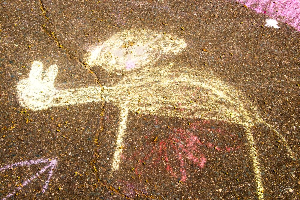 Chalk the Causeway-7370