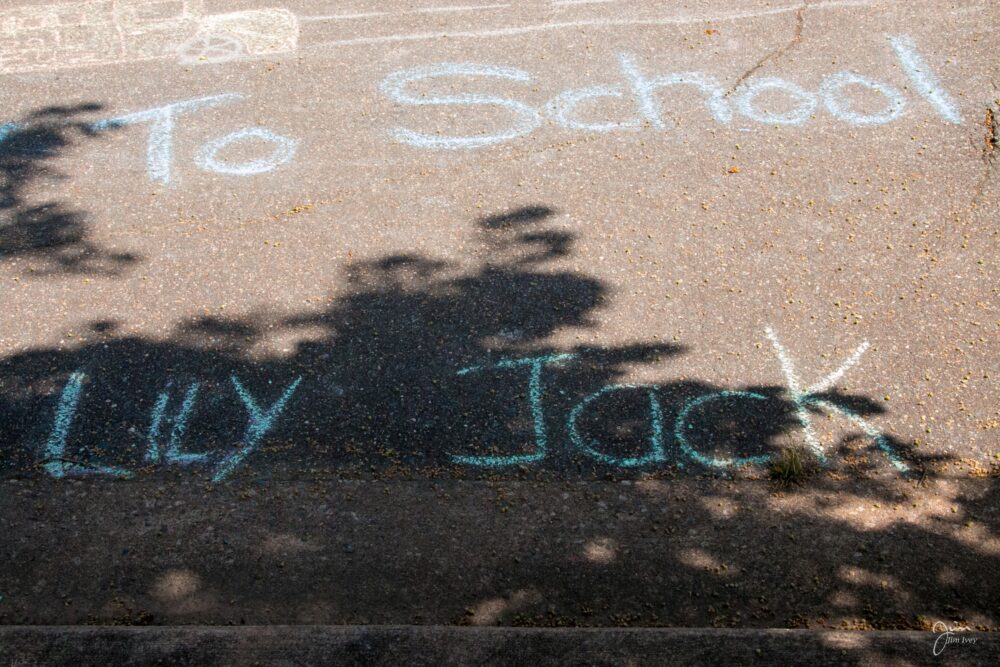 Chalk the Causeway-7375
