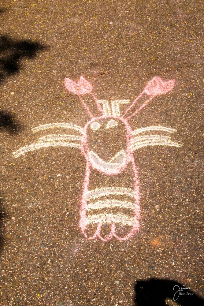 Chalk the Causeway-7381